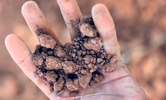 arrendamiento-fincas